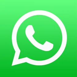 WhatsApp Messenger User Concerns and Frustrations