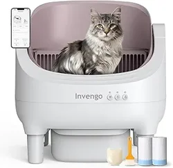 Explore User Insights on the Automatic Cat Litter Box