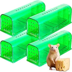 Unlock Insights on Humane Mouse Trap Effectiveness