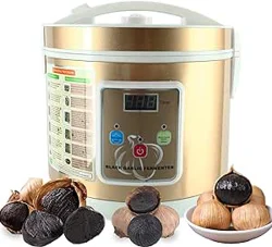 Explore Homend Black Garlic Fermenter Insights