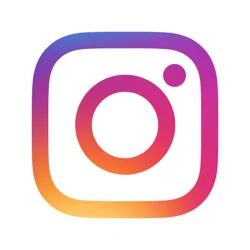 Mixed User Feedback for Instagram Lite App