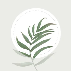 User Discontent with Blossom App Due to Price Hikes and Performance Issues