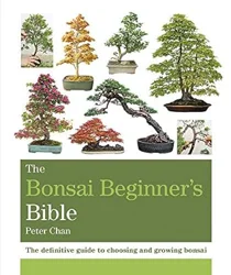 The Bonsai Beginner’s Bible: A Comprehensive Guide for Novice Growers