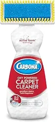 Carbona Carpet Cleaner: Effectiveness vs. Price Concerns