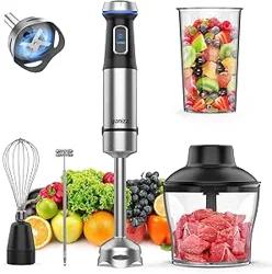 Explore Ganiza Immersion Blender Customer Insights