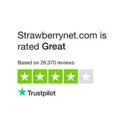 Unlock Insights: Strawberrynet Customer Feedback Report