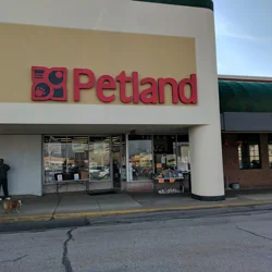 Petland store around me