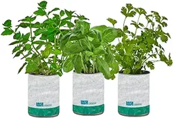 Mixed Reviews for DIY Indoor Gardening Kit