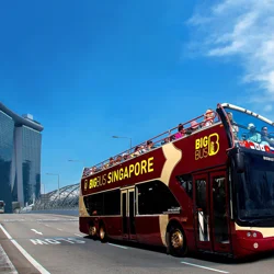 Explore Big Bus Singapore Tour Insights & Enhance Your Service