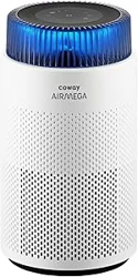 COWAY Air Purifier: User Experiences and Key Insights