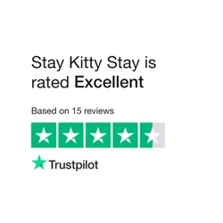Exceptional Cat Boarding Services at Stay Kitty Stay