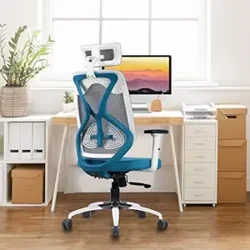 Mixed Reviews on Vergo Transform Ergonomic High Back Mesh Office Chair