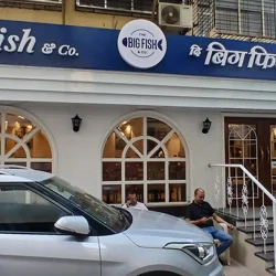 Unlock Big Fish & Co. Insights: Dive Deep into Customer Feedback