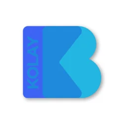 Comprehensive Feedback Analysis of KolayBi Accounting App