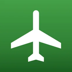 Unlock Essential Insights: Airport App Feedback Report