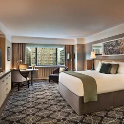 Exceptional Service & Comfort at Loews Regency New York