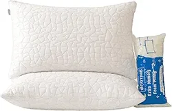 Comfort and Quality Shine in Shredded Memory Foam Pillow Reviews