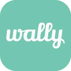 Wally: AI Personal Finance App User Reviews Analysis