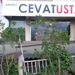 Executive Summary of Antepli Cevat Usta Reviews