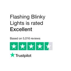 Flashy Blinky Lights Customer Reviews Summary