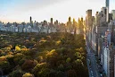 Thompson Central Park New York: Location, Staff, and Room Quality Feedback