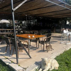 Mixed Reviews for Marca Antakya Restaurant: Food Quality and Service Concerns