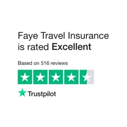 Positive Communication and Service Feedback for Faye Travel Insurance