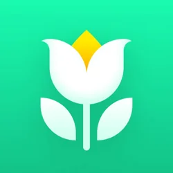 User Insights on Plant Parent App: Strengths and Areas for Improvement