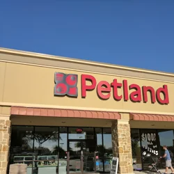 Petland sales around me