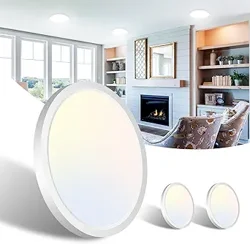 Unlock Insights: Libit LED Ceiling Light Customer Feedback Analysis