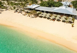 Unlock Bonny Moon Beach Club's Secrets to Success