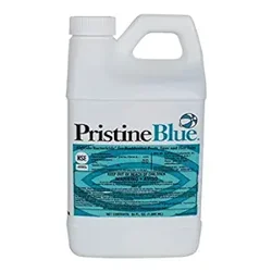 Discover How Pristine Blue Transforms Pool Maintenance