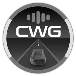 Exclusive CarWebGuru Car Launcher Feedback Report