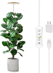 Mixed Reviews on Yadoker Plant Grow Light: Style vs. Reliability