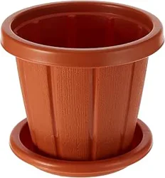 Quality, Durability, and Value: Cosmoplast Flowerpot Review