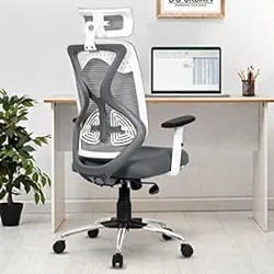 Mixed Reviews: Da URBAN® Merlion Office Chair Pros and Cons