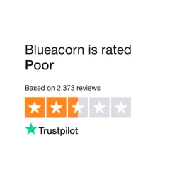 Uncover the Truth Behind Blueacorn Customer Feedback