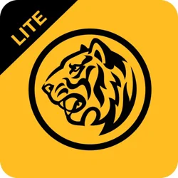 Unlock Insights: Maybank SG Lite App Customer Feedback Report