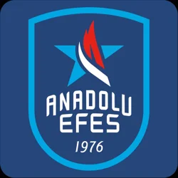 Exclusive Anadolu Efes App Feedback Analysis Report