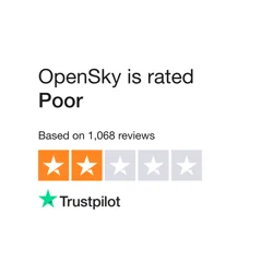 Mixed Customer Feedback for OpenSky: Shipping Delays, Poor Customer Service, and Quality Issues