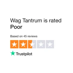 Wag Tantrum: High-Quality Organic Dog Food Delighting Customers