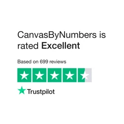 Essential CanvasByNumbers Customer Feedback Report