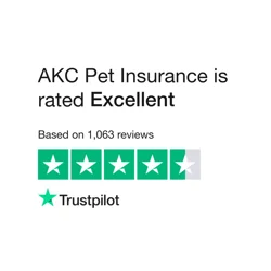 AKC Pet Insurance: Exceptional Service & Efficient Claim Processing