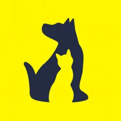 In-Depth Analysis of Pet Care Tracker App Reviews