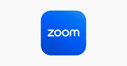 Zoom Issues and Benefits: User Reviews