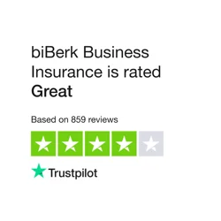 Mixed Feedback for biBerk Business Insurance: Praise for Some, Criticism for Others