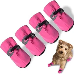 Insightful TEOZZO Dog Shoes Feedback Analysis Report