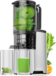 Unveil Customer Insights on Cold Press Juicer