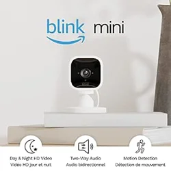 Blink Mini Camera Review: Insights and Analysis