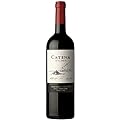 Highly Recommended Polished and Elegant Malbec Wine